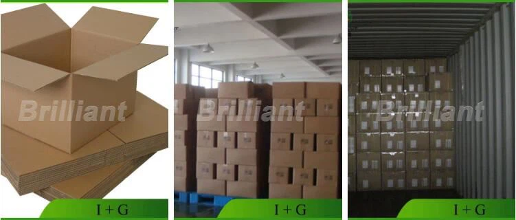 Disodium5'-ribonucleotide (I+G) packing